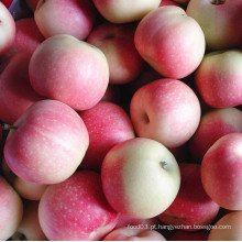 Nova Guloseima Red Gala Apple Aplicar Sweet and Juicy